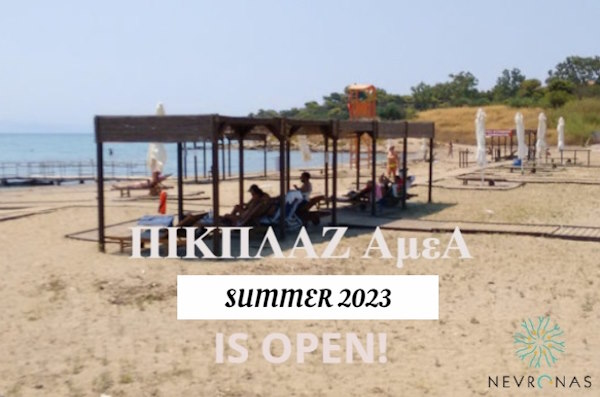 pikplaz-amea-2023